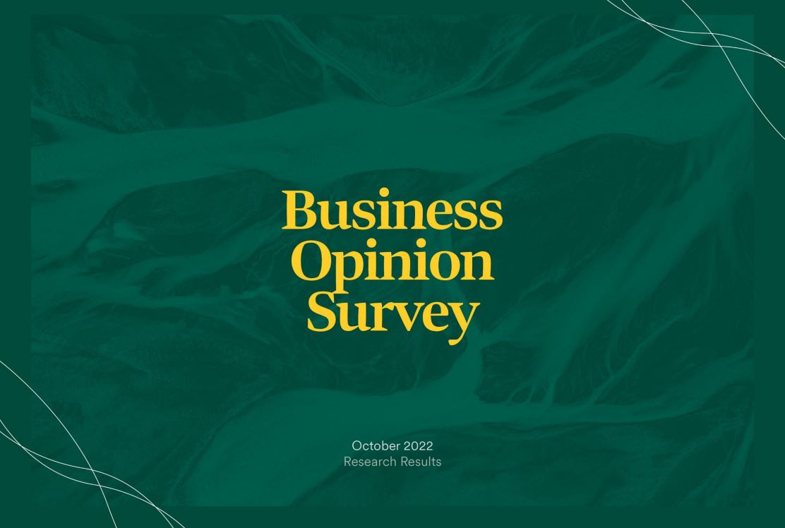 Local Business Confidence Dips